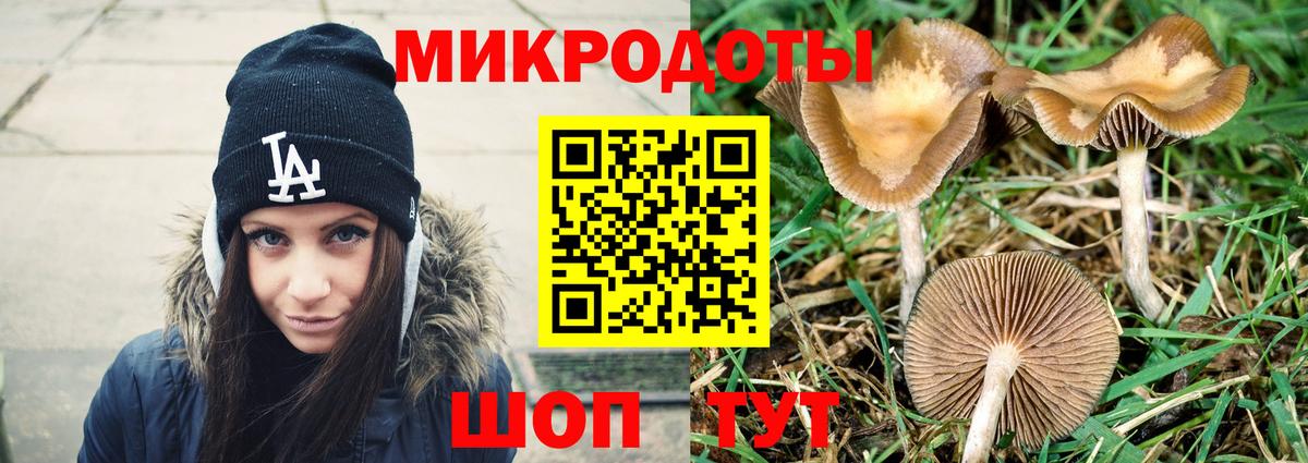 Галлюциногенные грибы мицелий Кострома