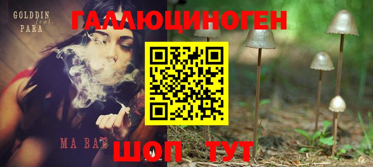 Кострома  Псилоцибиновые грибы Psilocybine cubensis  Вход с VPN 